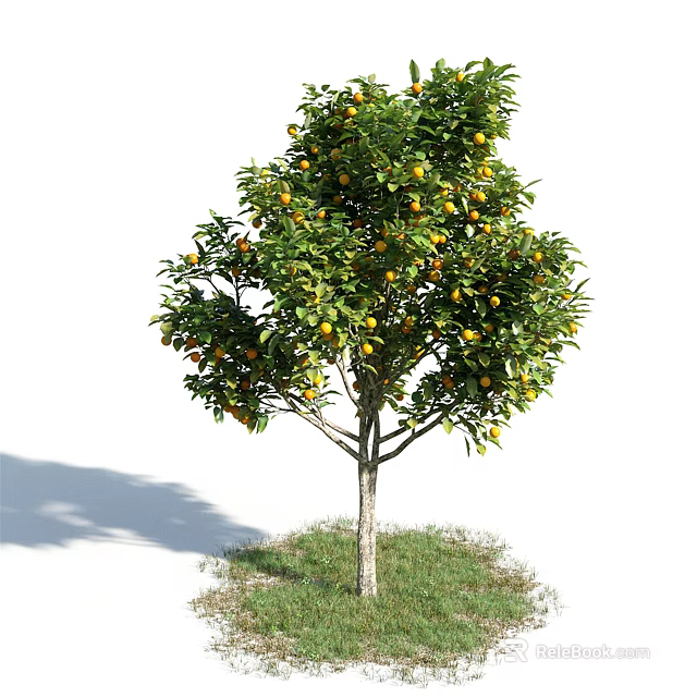 Tall Tree With Green Leaves And Yellow Fruits Growing On Grass Base 3d model 
