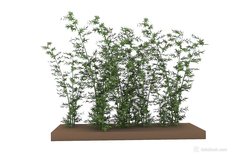 Lush Green Plants With Multiple Stems And Fresh Leaves On Brown Base 3d model 