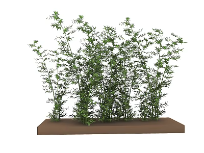 Lush Green Plants With Multiple Stems And Fresh Leaves On Brown Base 3d model