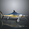 Realistic Swordfish 3D Model With Blue Yellow Stripes Dorsal Tail Fins Reflection On Smooth Surface
