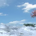 Pink Flowering Arbor Standing On Cliff With Blue Sky White Clouds And Sea Of Clouds