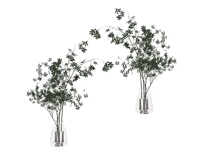Green Plant Decorative Ornament Set With Transparent Glass Vases For Home Interior 3d model