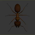 Realistic 3D Character Model Of Brown Ant With Detailed Insect Features