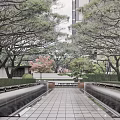 Residential Landscape With Lush Trees Tiled Walkway Trimmed Shrubs And Symmetrical Greenery