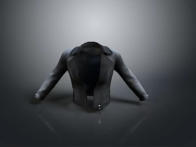 Black Leather Jacket Back View With Zipper Collar And Gray Background Reflection 3d model