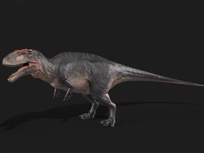 3D Rendered Tyrannosaurus Rex Dinosaur With Open Mouth Gray Body And Fierce Posture 3d model