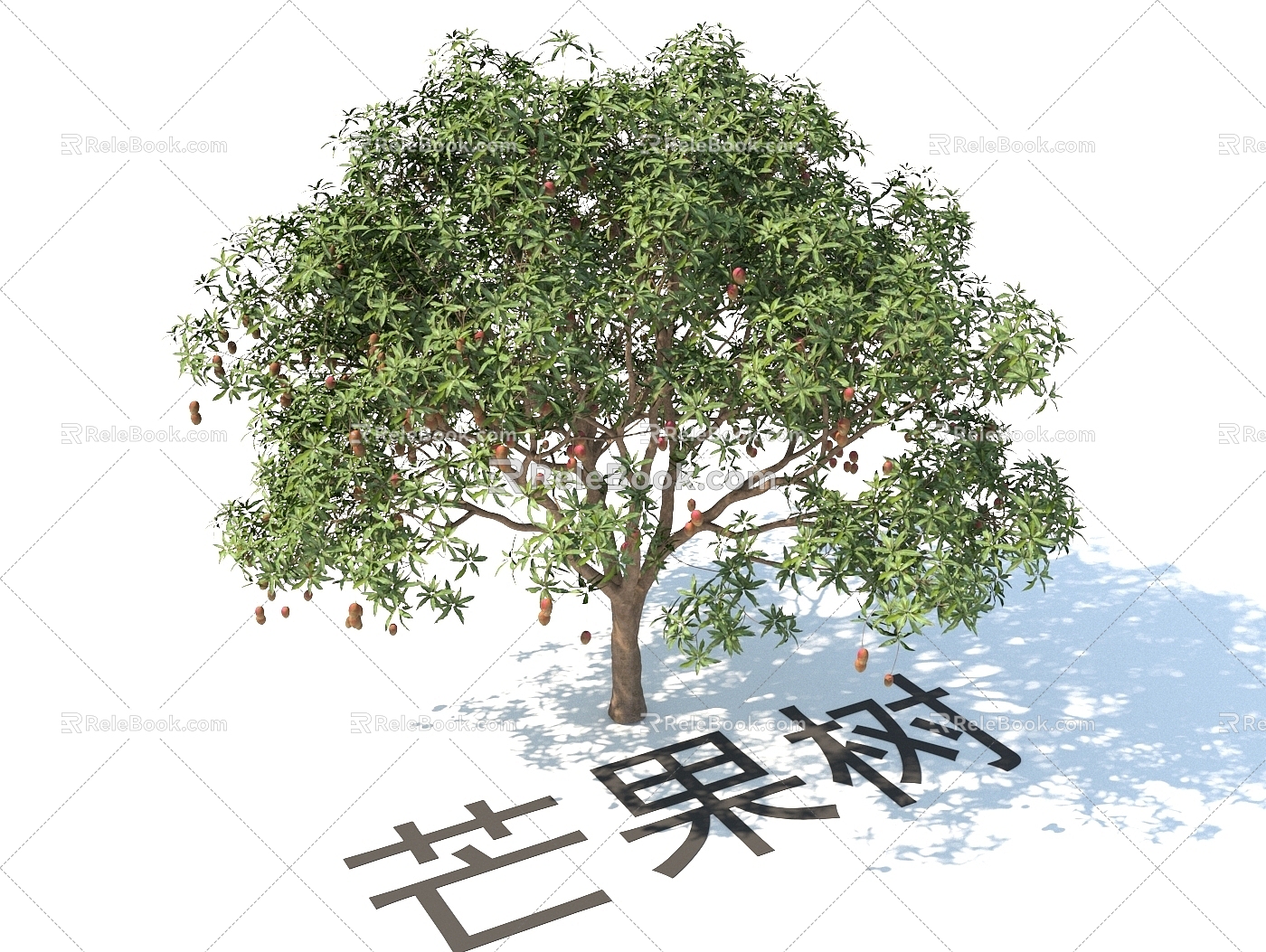 Mango Tree Modern Plant Fruit Tree 3d model