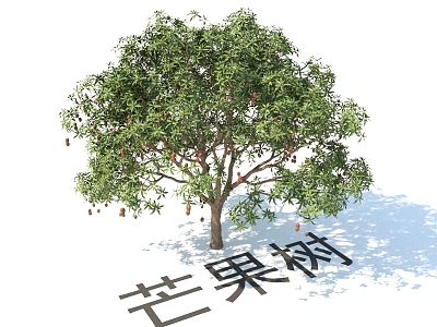 Mango Tree Modern Plant Fruit Tree 3d model