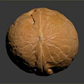Shelled Walnut With Natural Surface Texture On Dark Background Showing Reflection