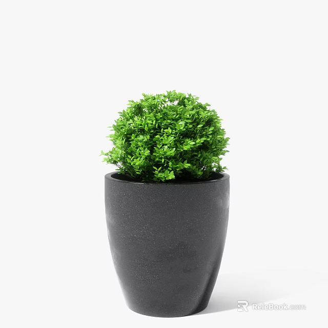 Green Bonsai Plant With Lush Round Foliage In Black Minimalist Pot 3d model 