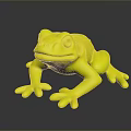 Frog Poison Frog Game Frog Reptile Cold Blooded Animal Reptile 3d model