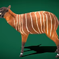 Realistic Full Body Brown And White Striped Tapir Standing On Green Background