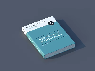 SEO Themed Book With Blue And White Cover By Michael Johnson 3d model