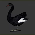 Decorative Black Swan Figurine with White Feather Accents on Square Base for Home Decor