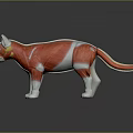Educational Anatomical Cat Model Illustrating Internal Organs And External Hair Features