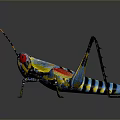 Colorful Artistic Grasshopper With Vibrant Blue Yellow Red Patterns Creative Decorative Insect Sculpture Design