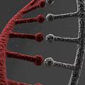 Advanced Medical Device for DNA Double Helix Structure Analysis and Research 3d model