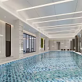 Modern Indoor Swimming Pool With Ceiling Linear Lights Stone Columns Large Windows And Natural View 3d model