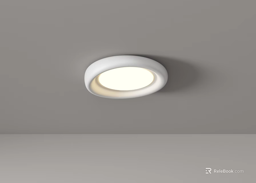 Minimalist White Ceiling Light With Bright Illumination 3d model 