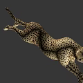 Cheetah 3D Model In Dynamic Running Pose With Detailed Fur Pattern