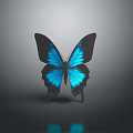 Blue Butterfly with Black Edged Wings on Gray Gradient Background and Reflection Below 3d model
