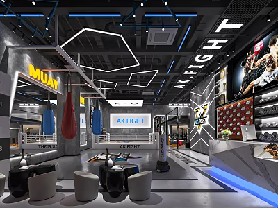 MIDAN Gym Interior Featuring Weight Training AK FIGHT Zone Punching Bags Fitness Equipment And Seating 3d model