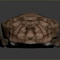 Detailed Pinkish Brown Creature Model With Textured Shell And Extended Tail On Dark Surface