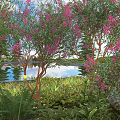 Beautiful Arbor With Pink Flowers And Green Leaves In Lakeside Grassland Natural Scene
