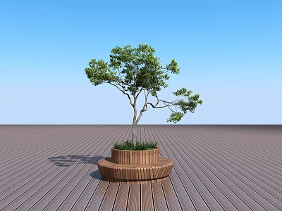 Round Wooden Stool With Tree Planter On Wooden Floor Blue Sky 3d model