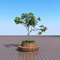 Round Wooden Stool With Tree Planter On Wooden Floor Blue Sky