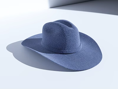 Blue Woven Wide Brim Hat with Classic Design Soft Texture and Timeless Style 3d model