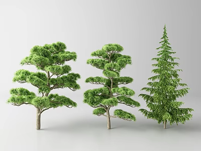 Three Green Arbor Trees With Lush Foliage And Various Growth Shapes 3d model