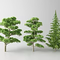 Three Green Arbor Trees With Lush Foliage And Various Growth Shapes