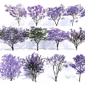 Collection of Different Flowering Trees With Purple And Green Foliage