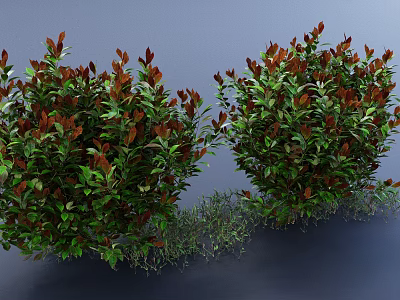 Lush Shrubs With Green And Red Leaves Against Gray Background And Ground Cover Plants 3d model