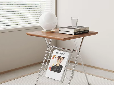 Modern Side Table with Wooden Top Metal Frame Magazine Rack and White Globe Lamp 3d model