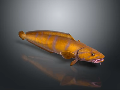 Yellow And Brown Striped Aquatic Fish With Elongated Body And Fins On Dark Surface 3d model