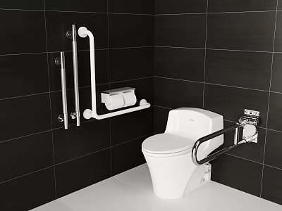 White Toilet In Bathroom With Black Tile Walls And Safety Grab Bars 3d model
