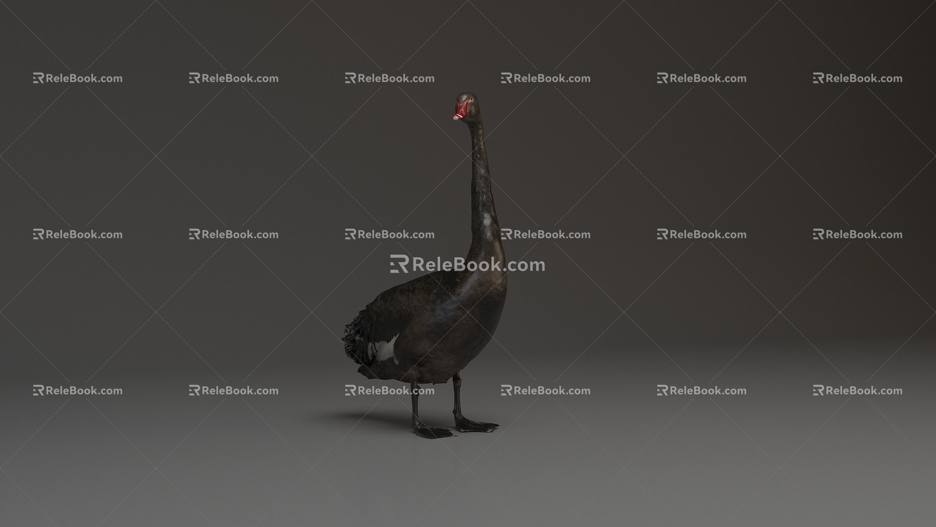 Modern Swan Black Swan 3d model