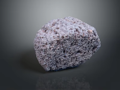 Natural Wooden Stone Material Featuring Porous Surface And Rough Natural Texture 3d model