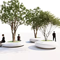 Modern Circular Tree Planters With Green Tops And White Bases For Urban Seating Space