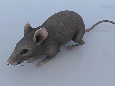 Realistic Reptile Model Featuring Gray Scales On Smooth Light Background 3d model