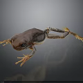 Brown Frog With Orange Limbs And Large Eyes On Dark Background