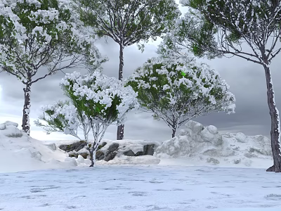 Snow Covered Tall Trees In Winter Snowy Landscape With Rocks And Overcast Sky 3d model