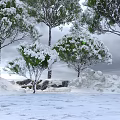 Snow Covered Tall Trees In Winter Snowy Landscape With Rocks And Overcast Sky