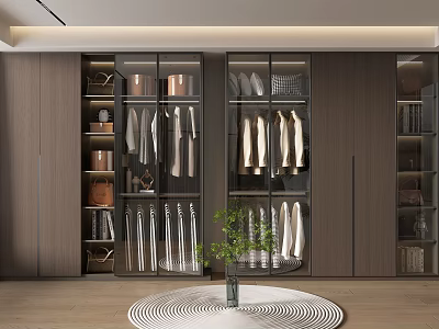 Modern Walk-in Closet Interior with Glass Doors Cabinets Hanging Clothes Round Rug and Green Plant 3d model