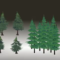 Various Sizes of Green Arbor Trees with Brown Trunks and Lush Foliage