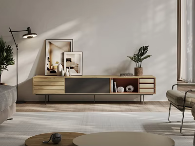 Modern Living Room Interior Design With Wooden TV Stand Framed Pictures Floor Lamp And Plants 3d model