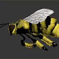 Yellow Fuzzy Bee With Transparent Wings And Black Stripes On Reflective Surface