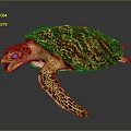 Vibrant Sea Turtle With Reddish Yellow Patterned Shell Swimming Gracefully 3d model